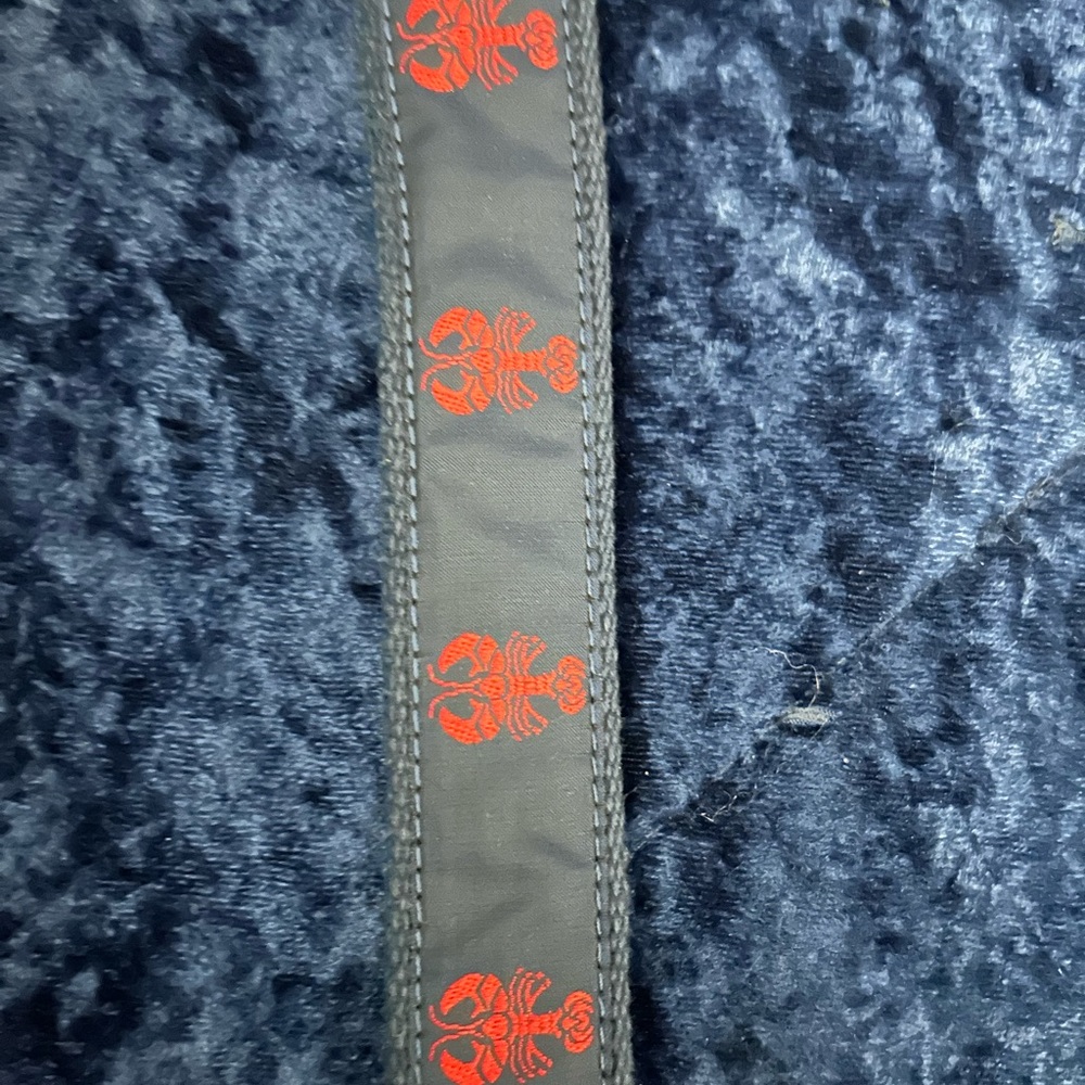 Men’s Size 32 J. Press Inc. leather and woven belt with stitched red lobsters.
